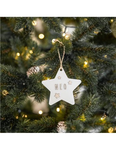 Deco Navidad Estrella en Blanco