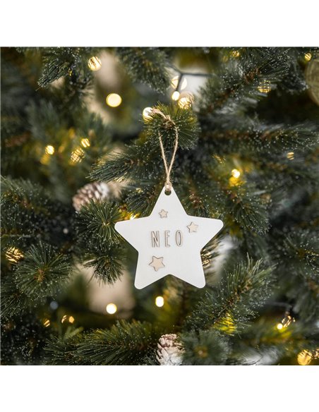 Deco Navidad Estrella en Blanco