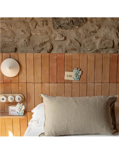 Placa Acuarela Dragon